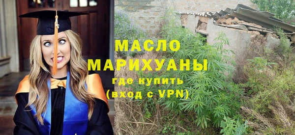 спиды Горняк