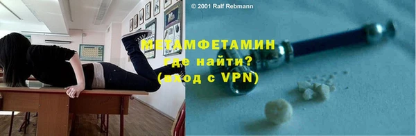 прущие грибы Вяземский