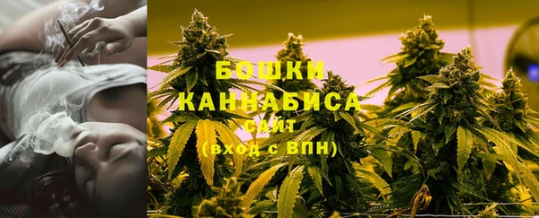прущий лед Горно-Алтайск