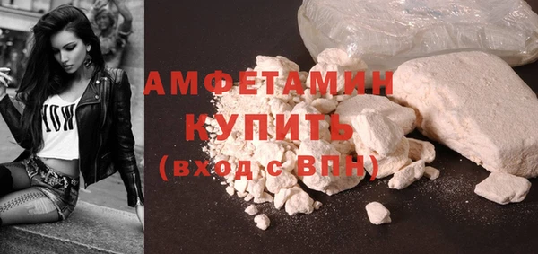 прущие грибы Вяземский