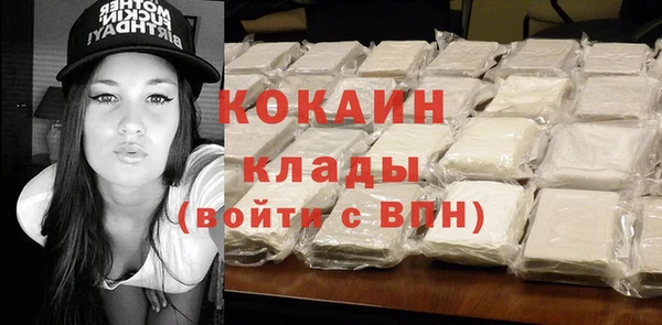 прущие грибы Вяземский