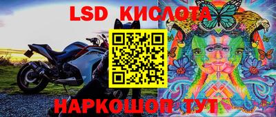 PSILOCYBIN Беслан