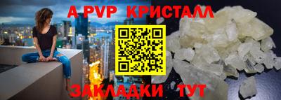 спайс Берёзовский
