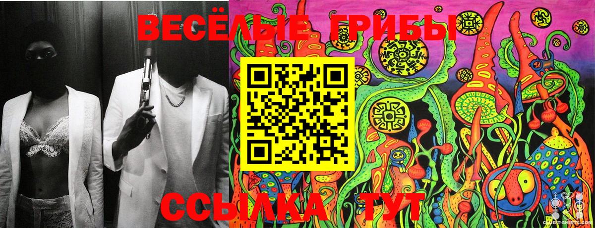 Галлюциногенные грибы GOLDEN TEACHER Губаха