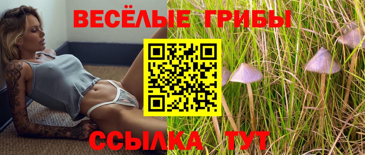 Галлюциногенные грибы мухоморы Губаха