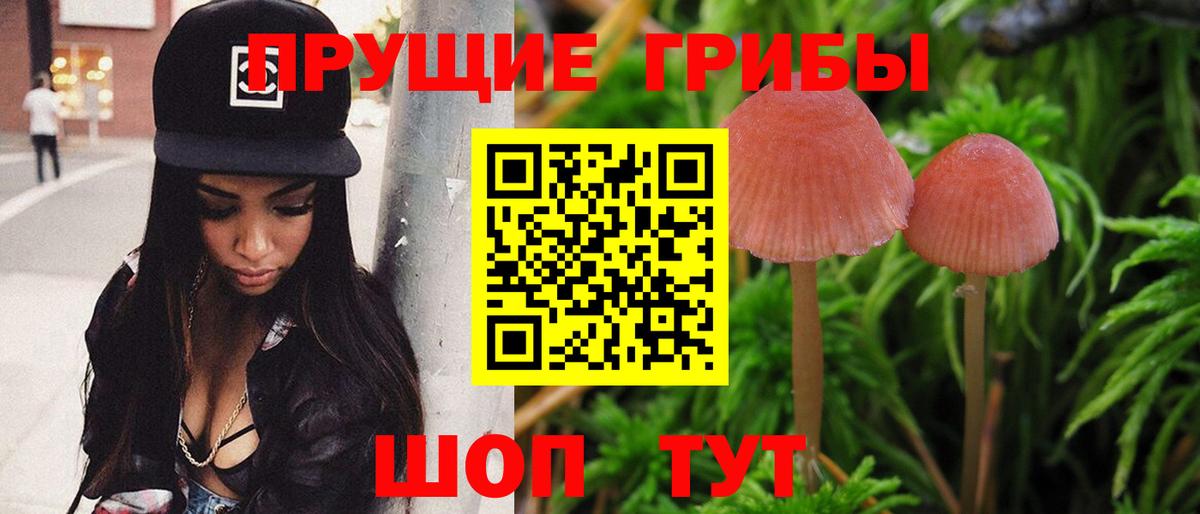 Губаха  Псилоцибиновые грибы ЛСД  Вход с VPN 