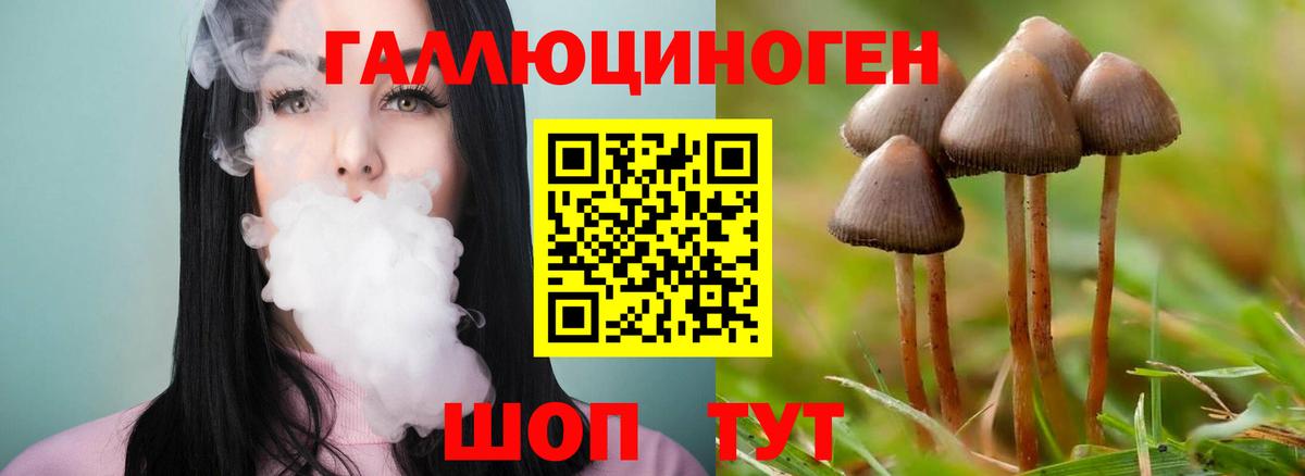 Марки ЛСД  Губаха  Cocaine  Вход с VPN  Каннабис  АМФЕТАМИН  Хэш  Кокаин  Хэш  Alpha PVP  Купить наркотики цена  NBOMe  Мяу-Мяу 